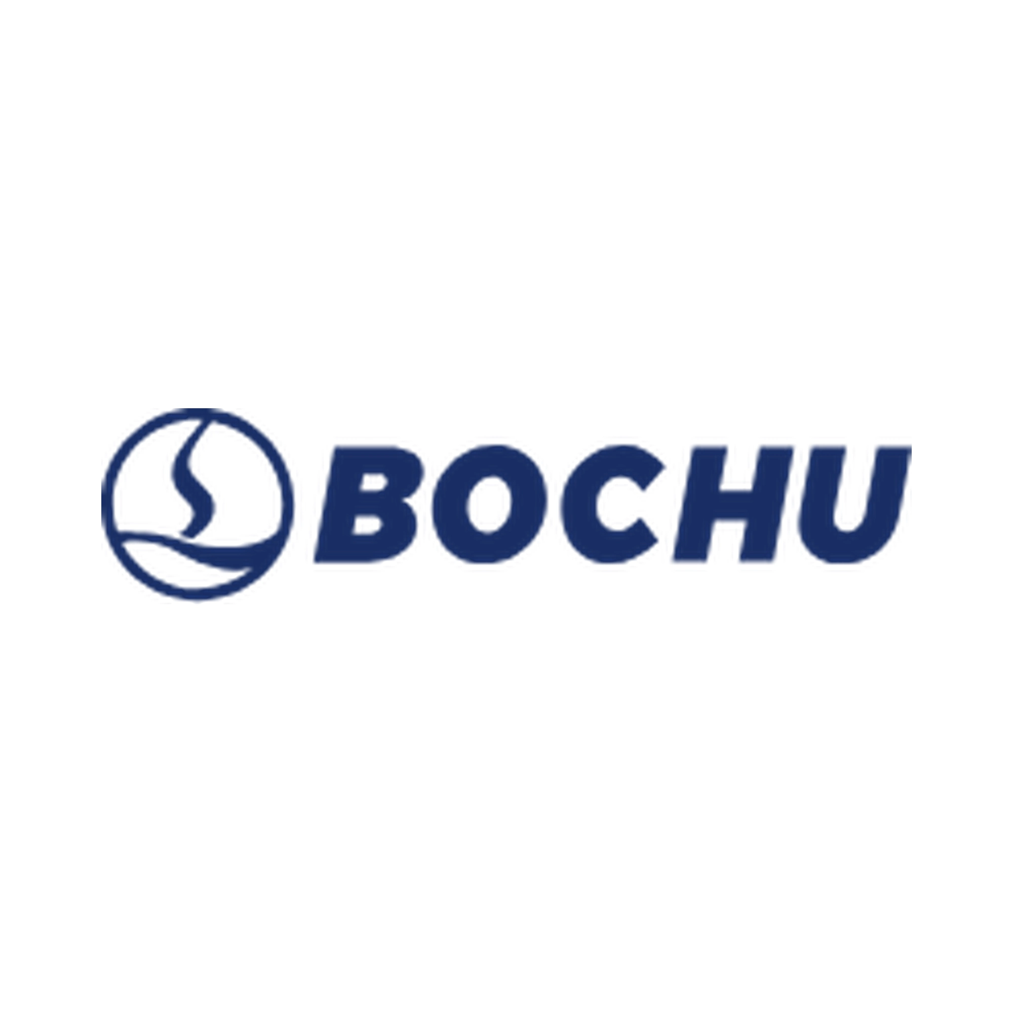 BOCHU Control System